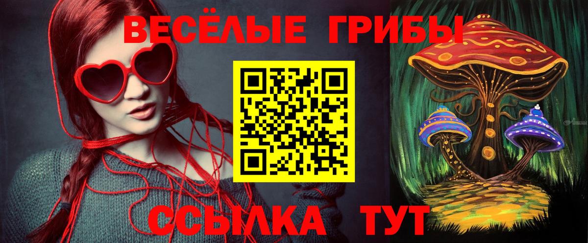 Галлюциногенные грибы Magic Shrooms Анжеро-Судженск